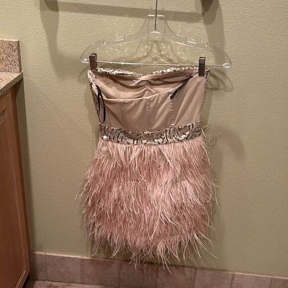 Bebe strapless fringe and sequin dress. Top is gold and the fringe is light pink - Picture 8 of 11